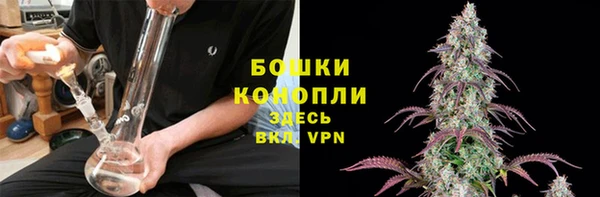 PSILOCYBIN Арсеньев