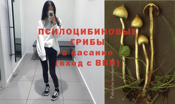 экстази Аркадак