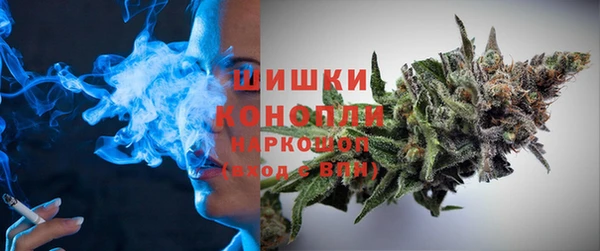 PSILOCYBIN Арсеньев