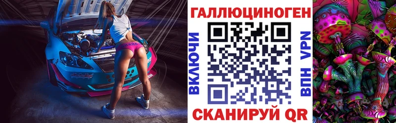 закладки  Мещовск  Псилоцибиновые грибы мицелий 